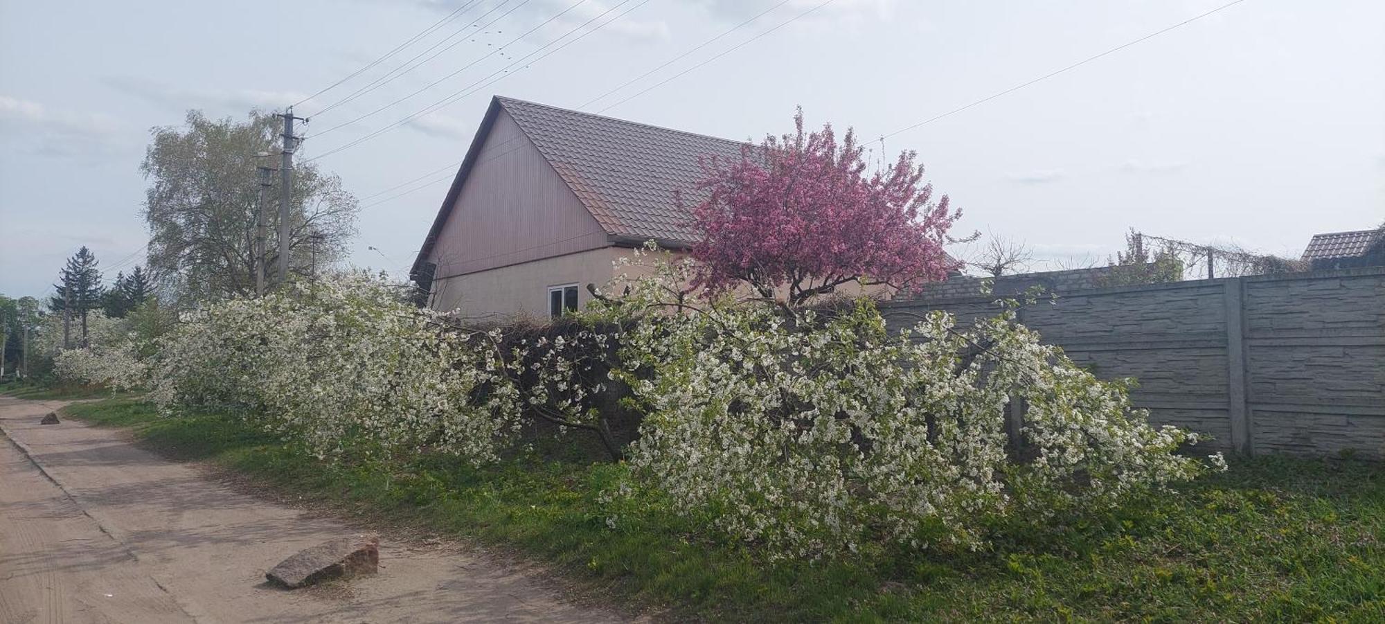 Садиба Зеленого Туризму «Золота Рибка» Medvedevka Exterior foto